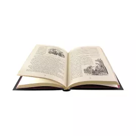 Книга в кожаном переплете "Немецкие сказки" Иоганн Карл Август Музеус